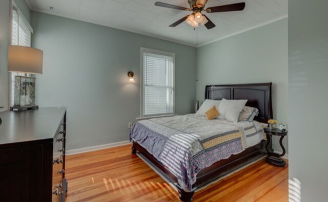 Building Photo - 236 Ward Ave