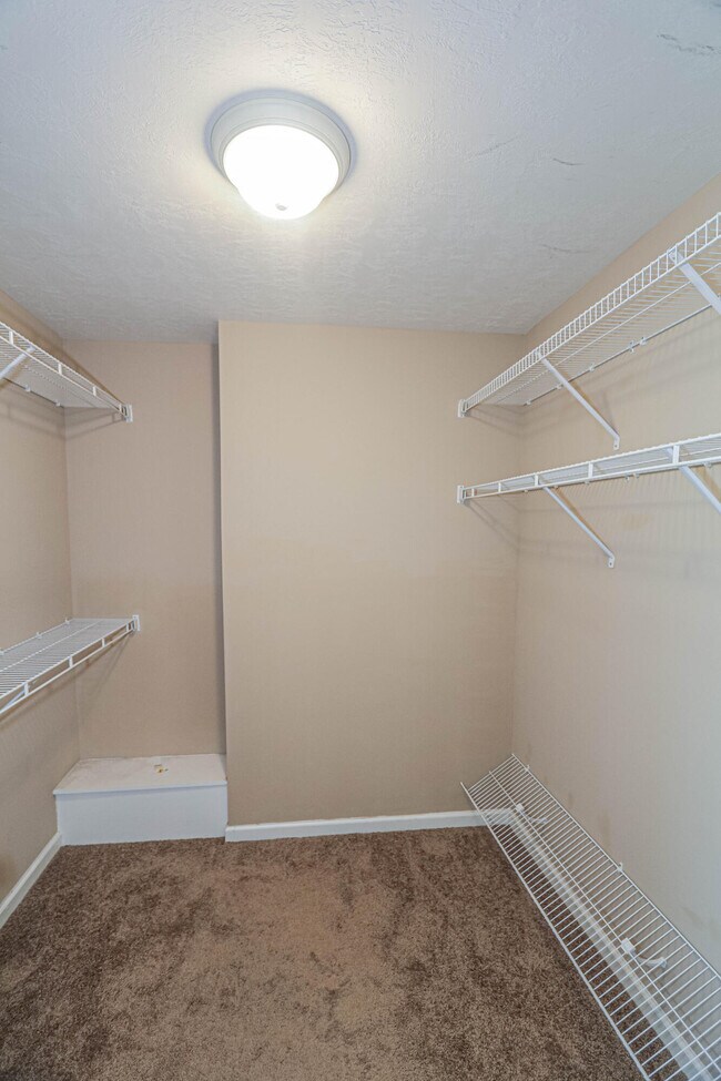 Building Photo - 479 Sebastian Dr