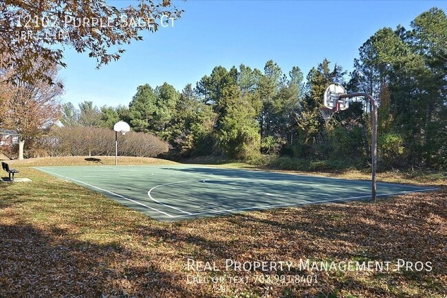 Building Photo - 12102 Purple Sage Ct