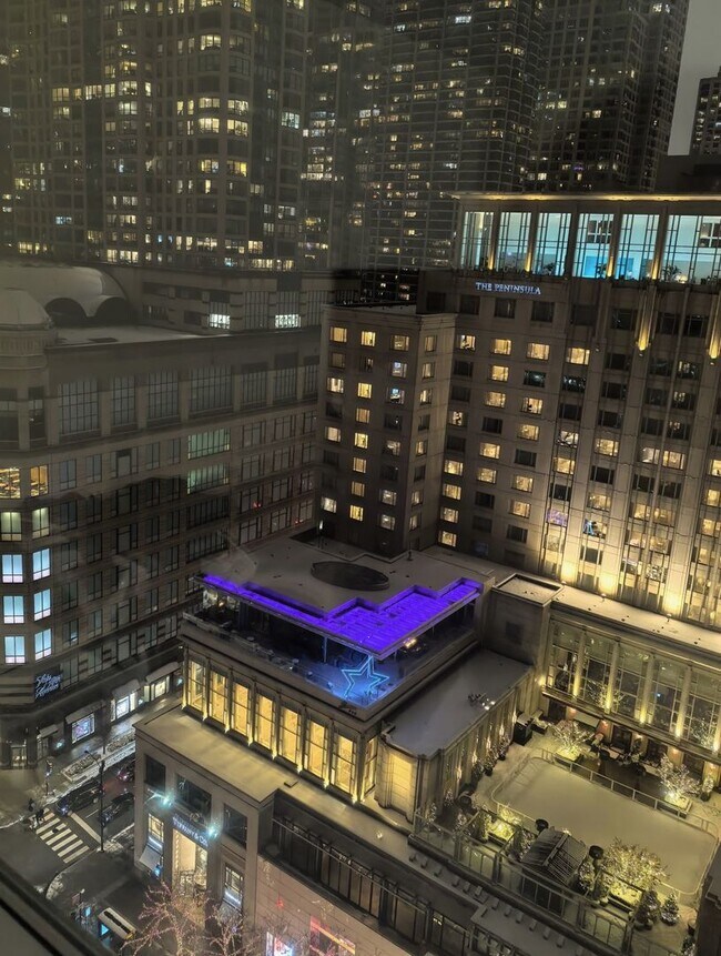 Building Photo - 777 N Michigan Ave