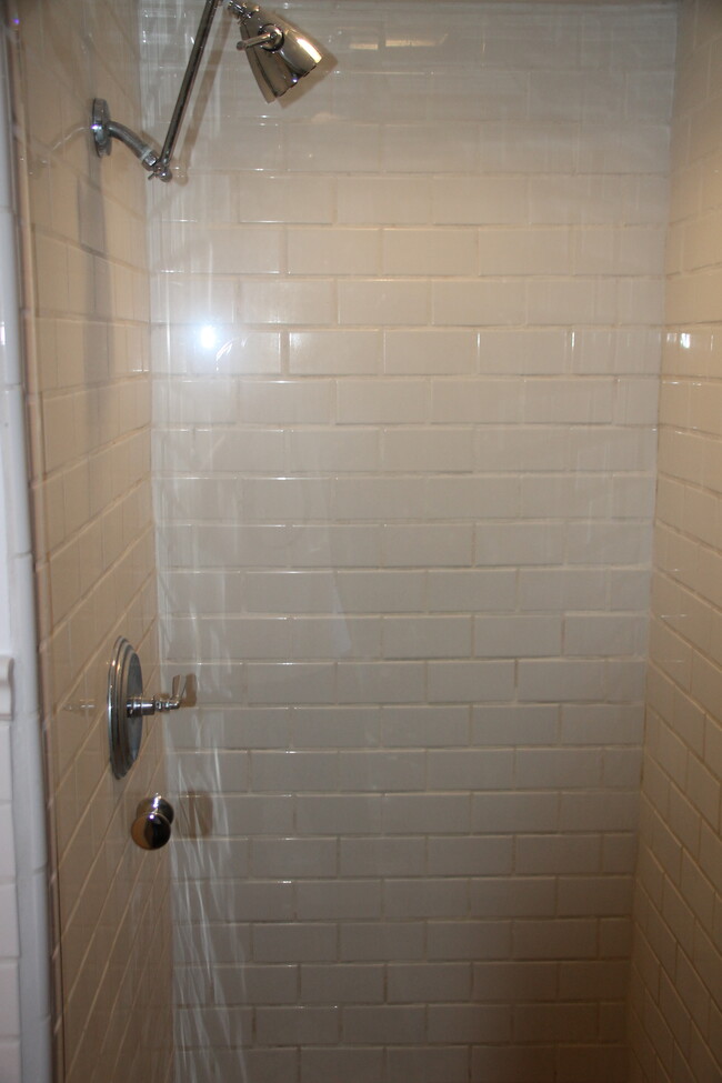 shower - 1741 Coldwater Canyon Dr