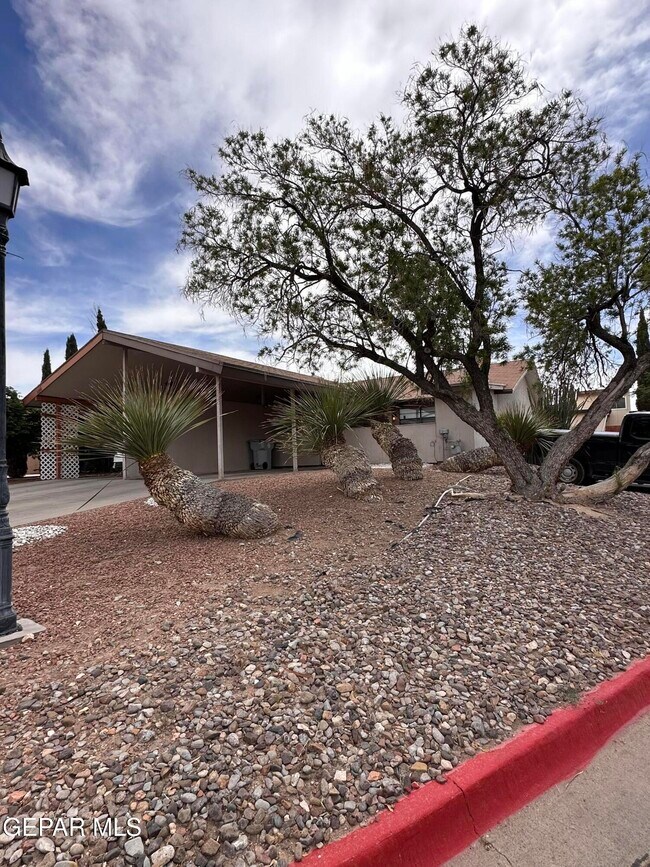 Building Photo - 3228 Isla Cocoa Ln