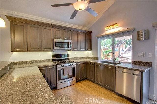 Building Photo - 20 Mistletoe St