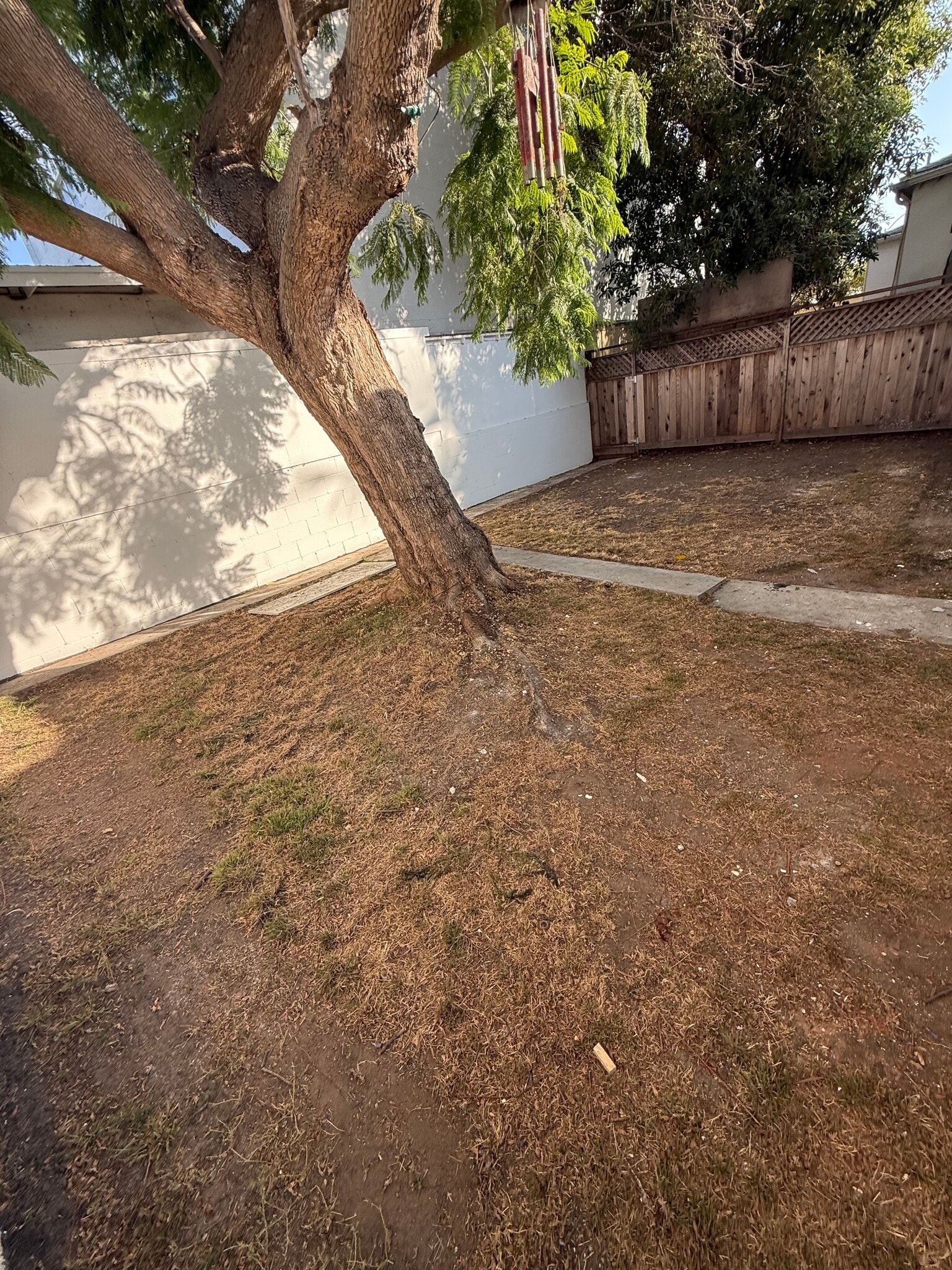 Huge private backyard - 1543 11th St