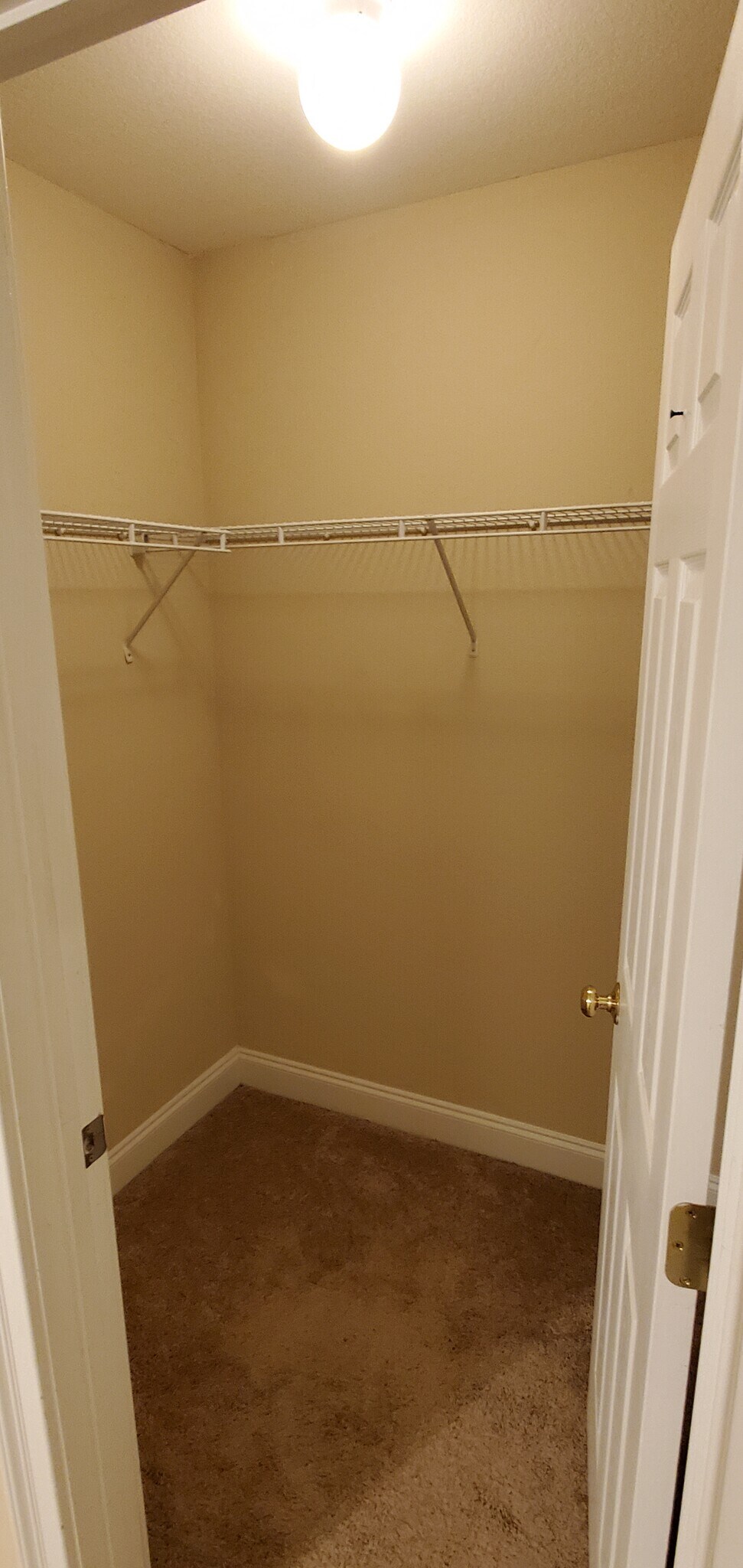 Building Photo - 807 W Longleaf Dr