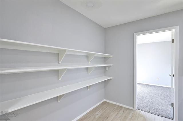 Building Photo - 1710 Covey Ln