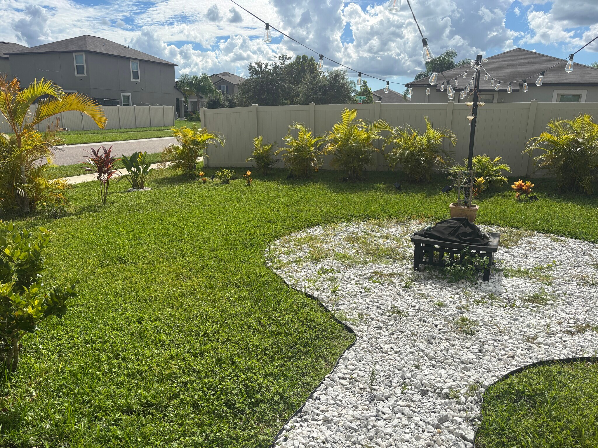 Building Photo - 9663 Channing Hill Dr