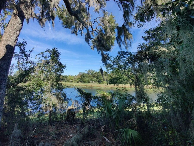 Building Photo - Spacious End-Unit Townhouse in FishHawk Ranch | Top-Rated Schools