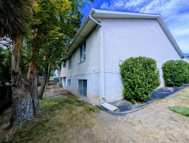 Building Photo - 1504 Spring Ln