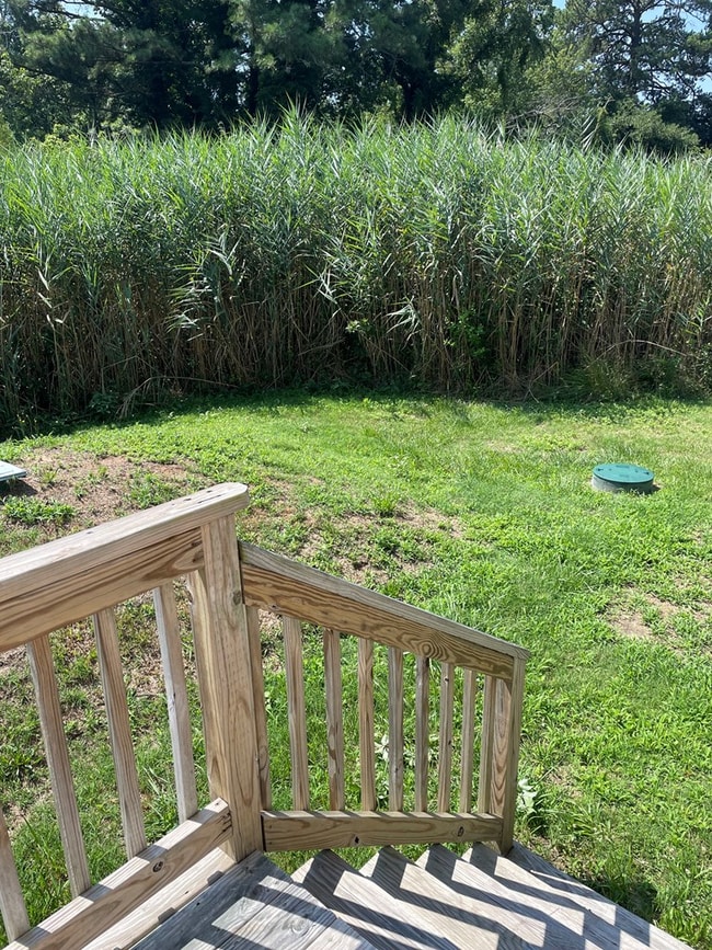 Building Photo - 5164 Main St