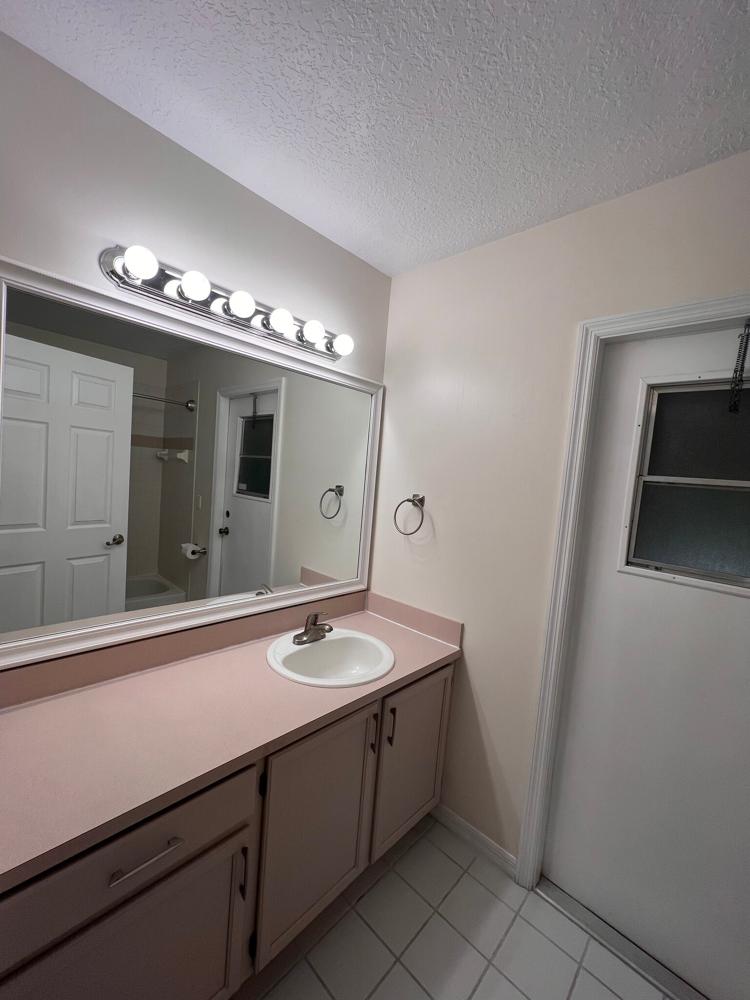 hall bathroom - 345 Silver Pine Dr
