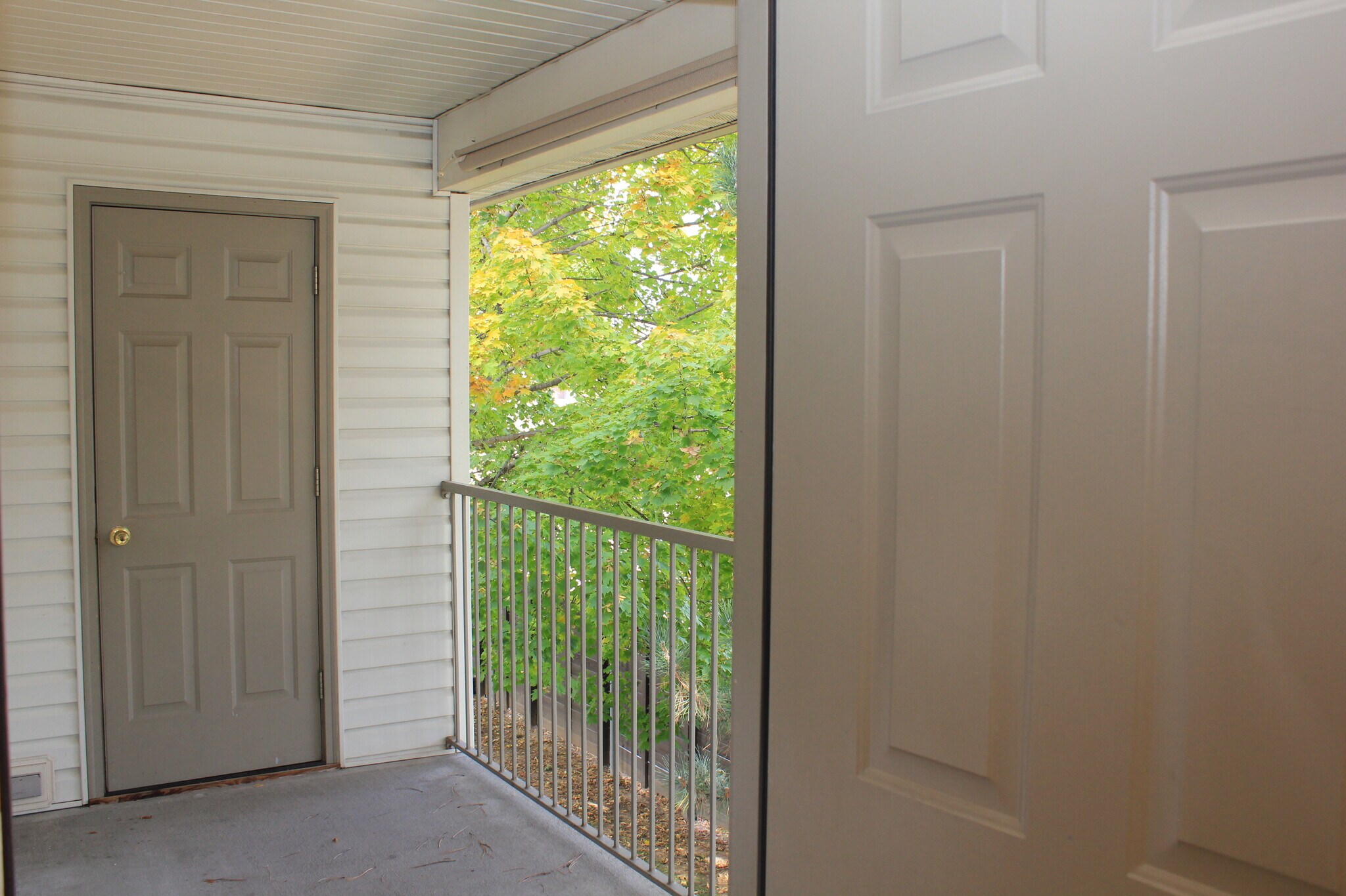 Large Patio - 7626 W Opohonga Ln