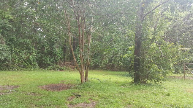 Building Photo - 1207 Hampton Rd