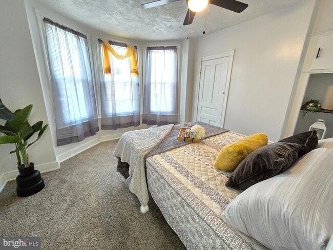 Building Photo - 3151 Pennock St