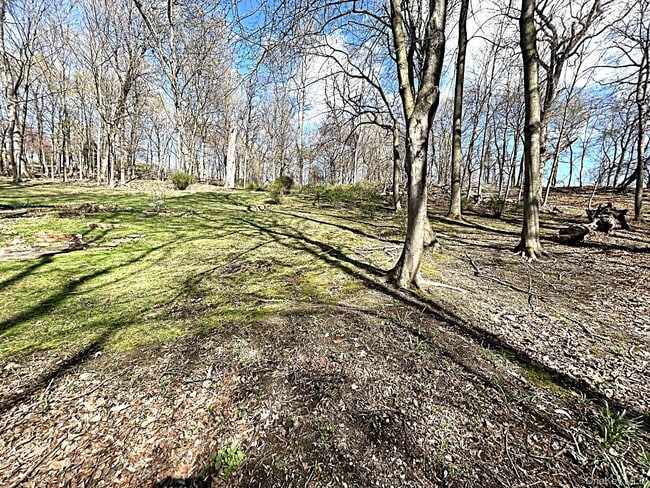 Building Photo - 8 Ridge St