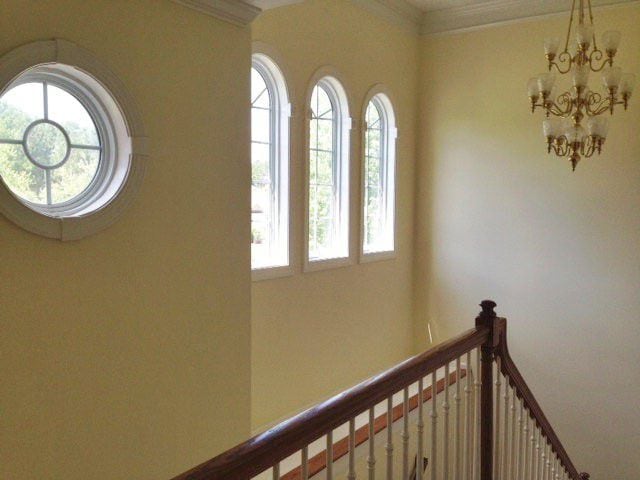 Building Photo - 103 Glencoe Way