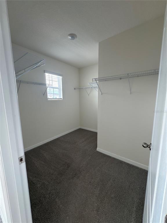 Building Photo - 1795 Brush Crk Rd