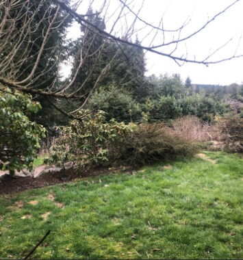 Building Photo - 3413 Harbel Dr NE