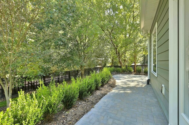 Backyard - 300 Vendella Cir