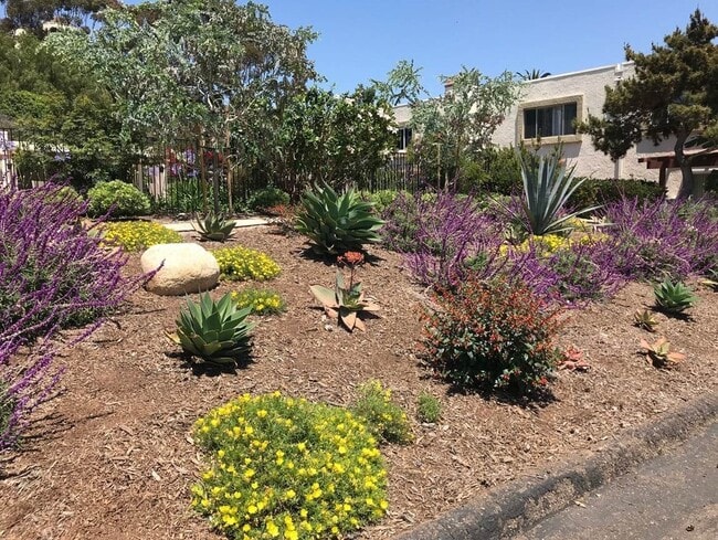 Building Photo - Spacious 2BD/2.5BA Town Home near Universi...