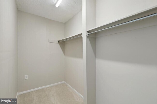 Building Photo - 12305 Braxfield Ct