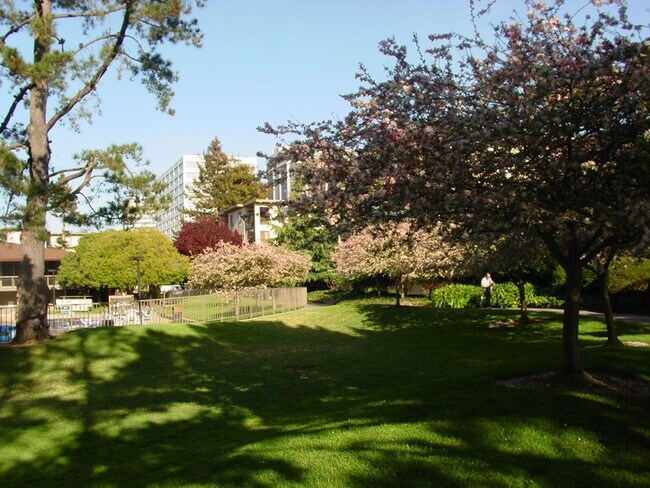 Building Photo - Full Size One Bedroom with Top Floor Privacy