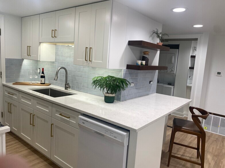 New cabinets, backsplash - 2319 N Halsted St