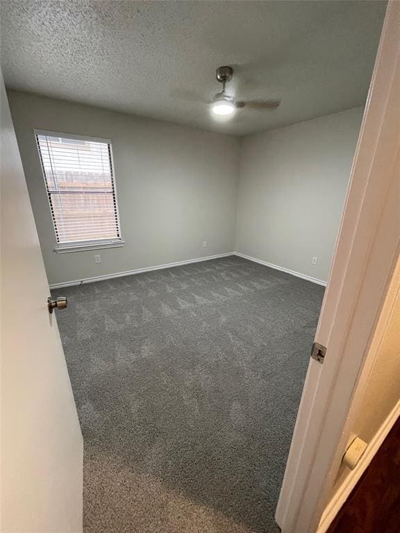 Building Photo - 1231 Armadillo Rd