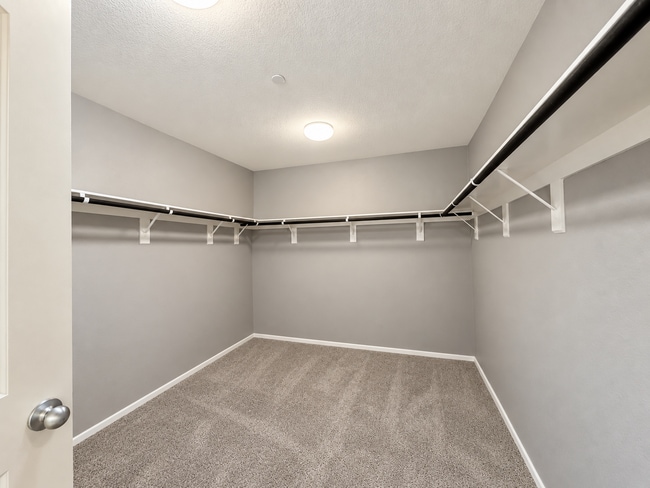 Building Photo - 31029 Branding Iron Ct