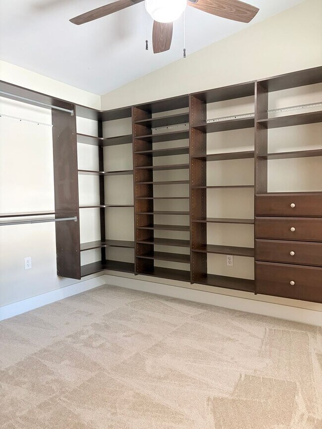 Building Photo - Freshly North St Pete 4 Bedroom Home