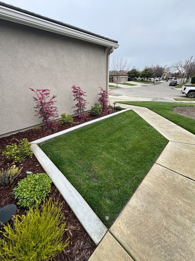 Building Photo - 3 bed 2 bath - beautiful home!