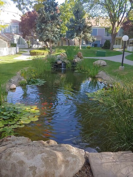 Pond with Koi Fish - 1432 W Telegraph Hill Dr