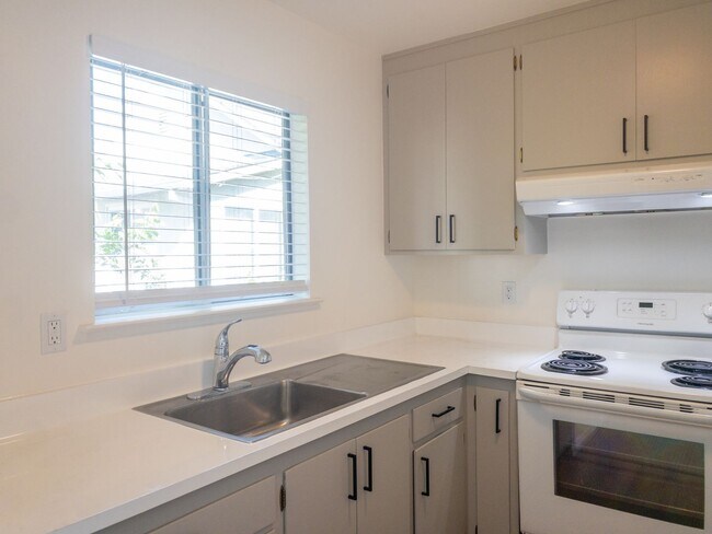 Building Photo - BRIGHT Remodeled Downtown 1BR/1BA Flat! Pa...