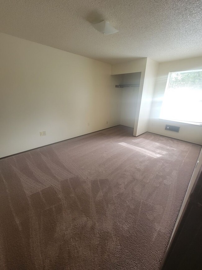 Building Photo - Cute & Cozy Spanaway Rambler