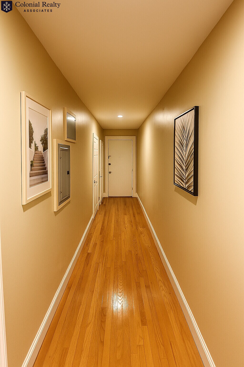 Building Photo - 60 Egmont St