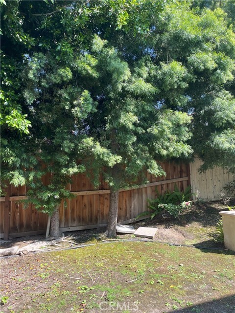 Building Photo - 5 Parthenia