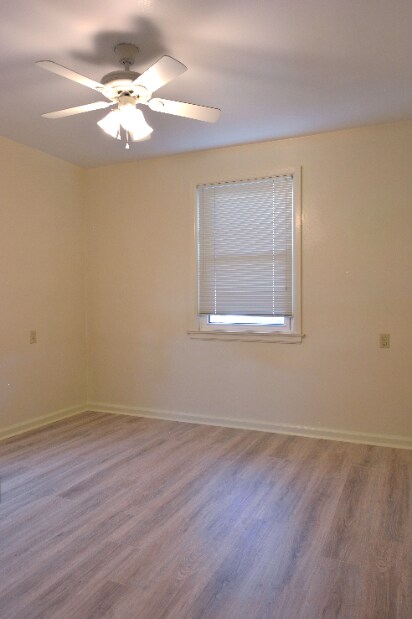Building Photo - Updated Two Bedroom is Now Ready!