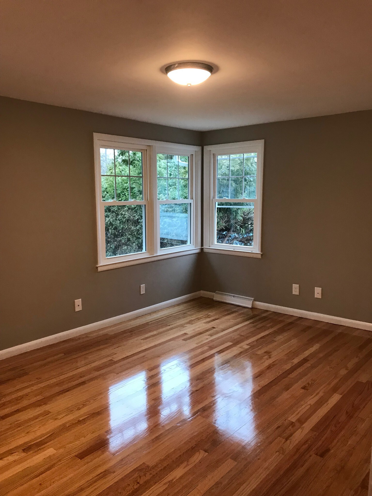 Living room with lots of natural light - 19 Geraldine Ave