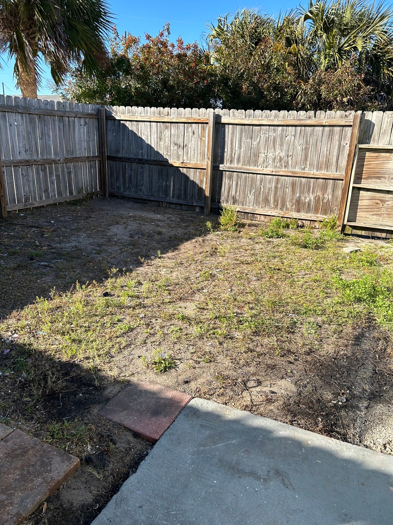 Building Photo - 439 Barbara Jenkins St