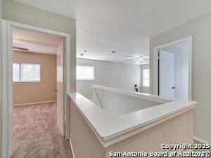 Building Photo - 12219 Victory Palm