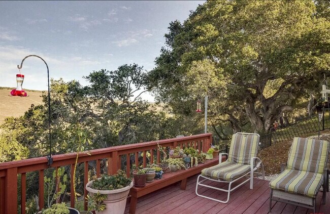 Building Photo - 684 Shamrock Ln