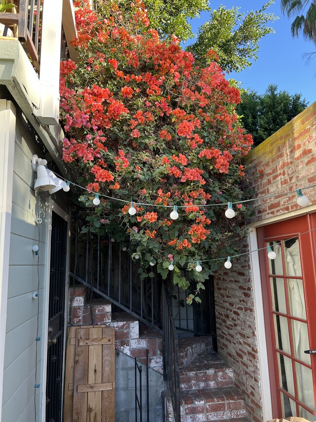 View from patio - 2142 Baxter St