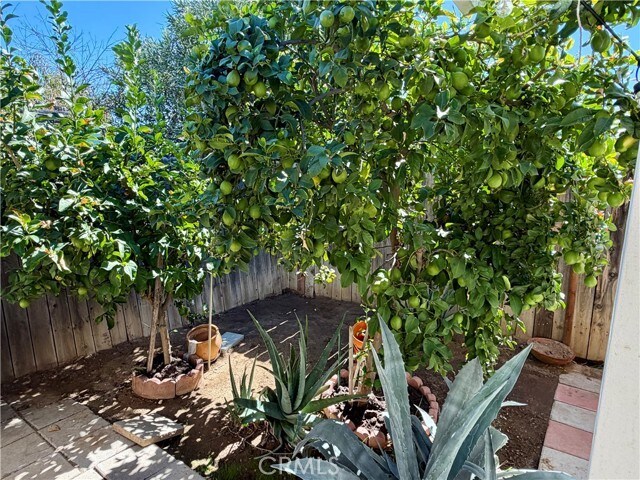 Building Photo - 321 Red Cedar Pl