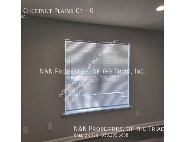 Building Photo - 1398 Chestnut Plains Ct
