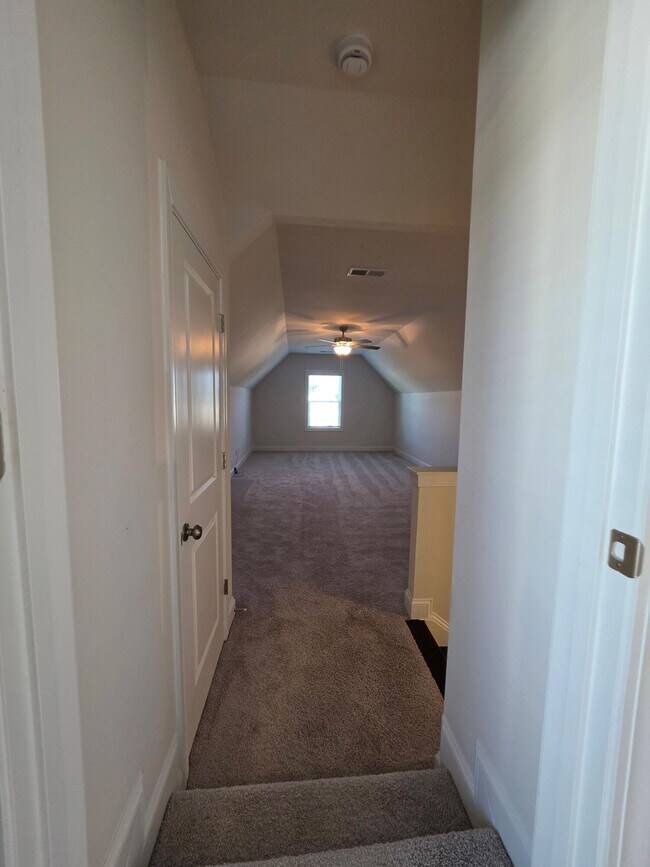 Building Photo - 3360 Rustic Dr