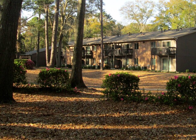 Building Photo - Mossy Oaks Village