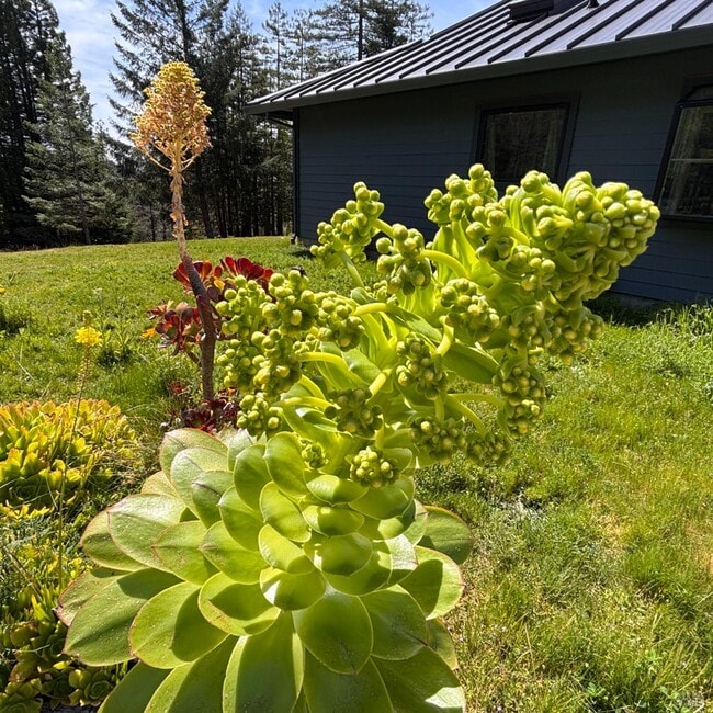 Building Photo - 34478 Iversen Rd