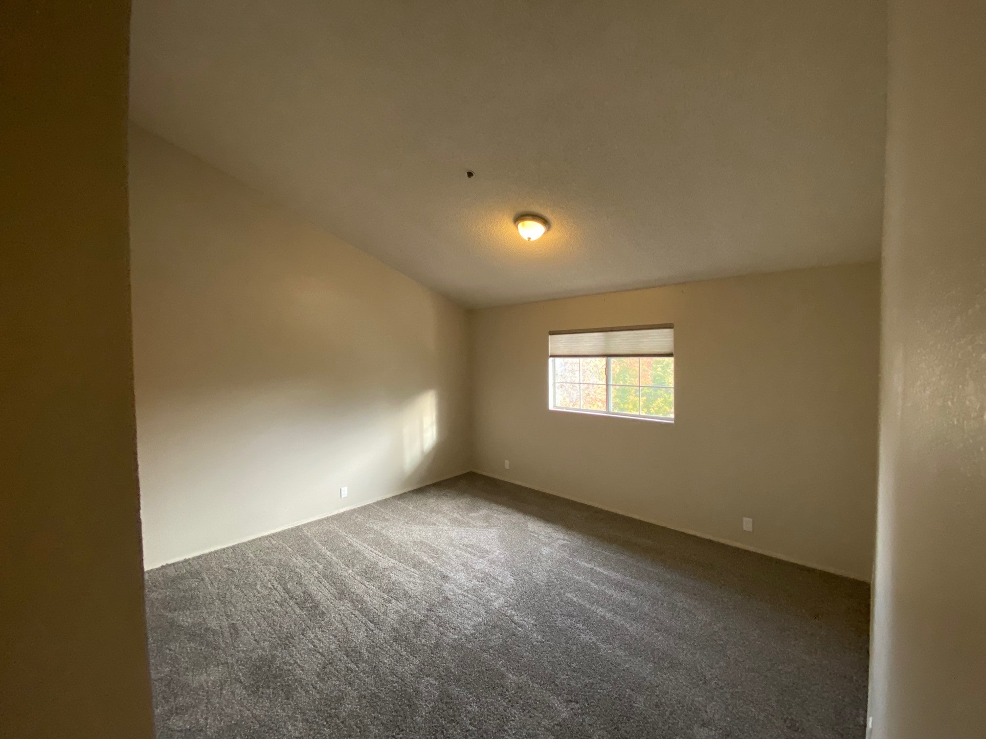Master Bedroom - 1033 Southwood Dr