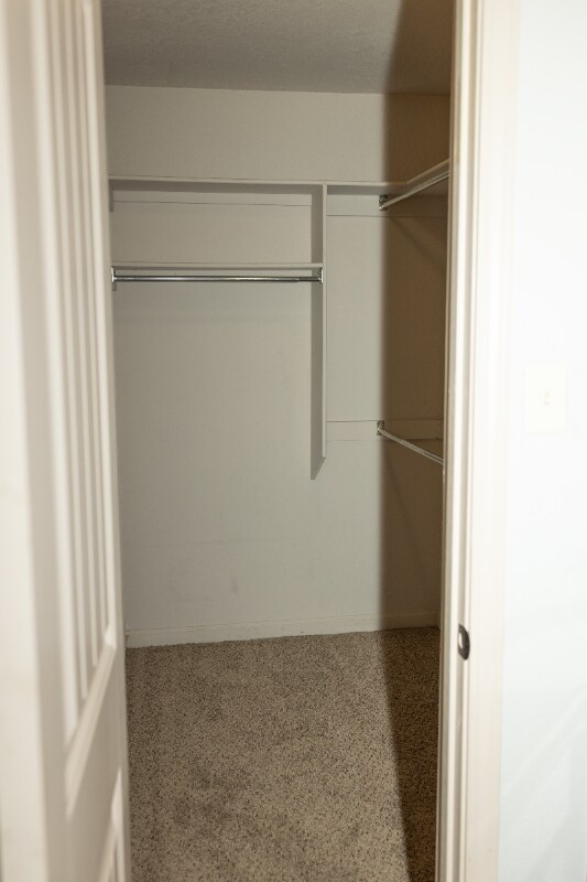 Building Photo - 55 Bryson Dr