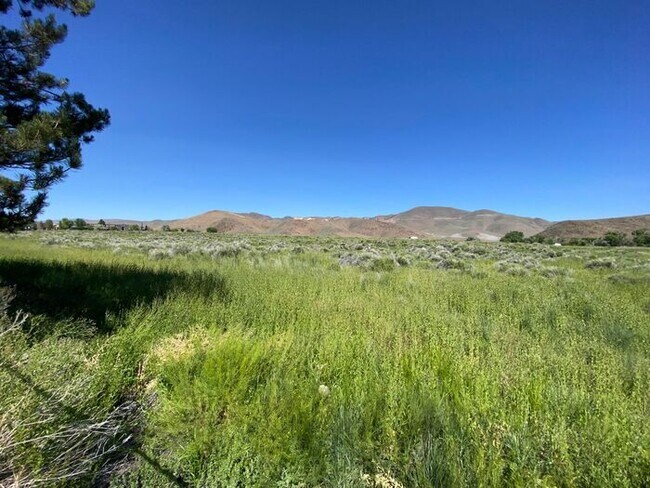 Building Photo - SE Reno Single Story House - Beautiful Pastoral/Mountain Views